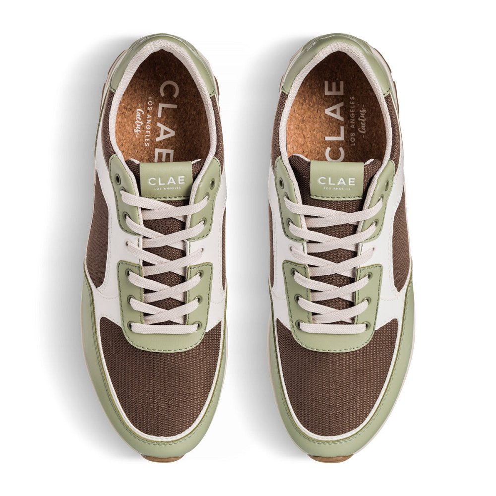 CLAE JOSHUA CACTUS Sneakers Mens USA375-K29 In Sage White Brown